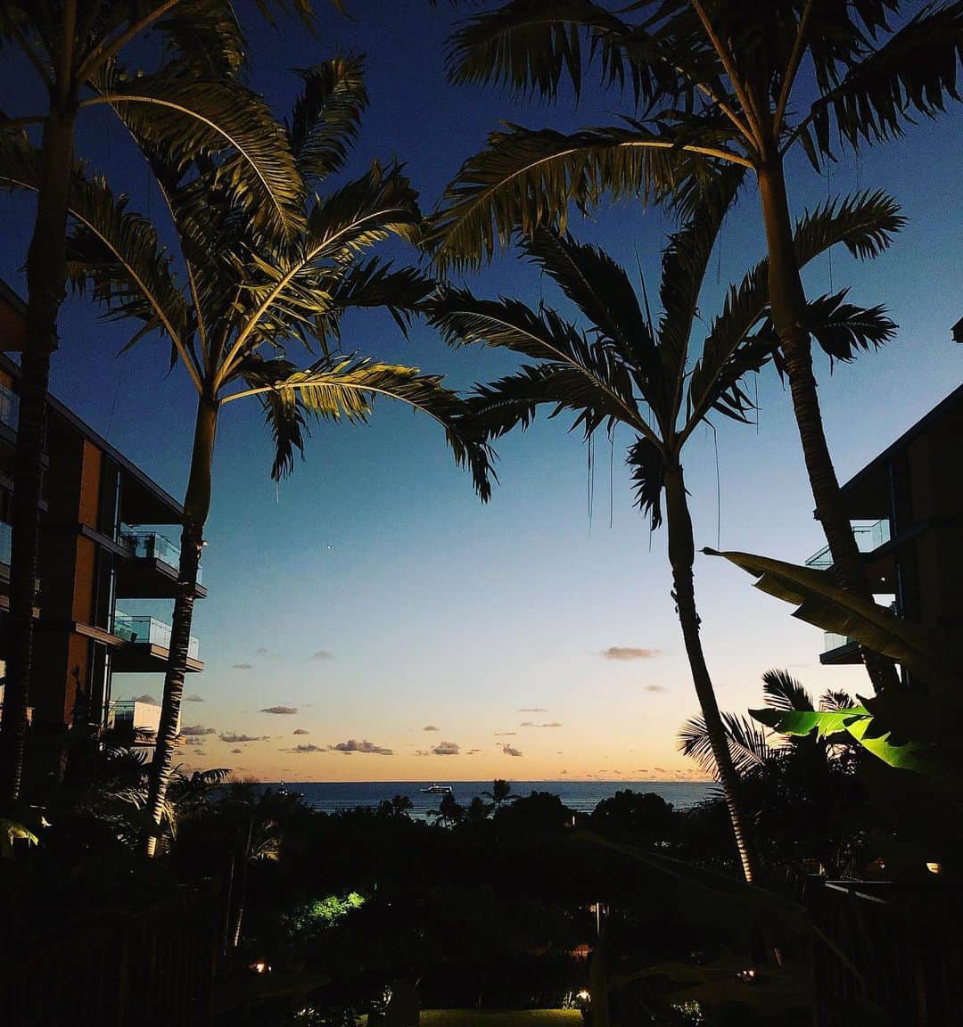 RIKACOさんのインスタグラム写真 - (RIKACOInstagram)「❤️❤️❤️ ハロー無事に着きましたよん〜 正解はHawaii😆 皆んな分かっていますね ヤダ〜 笑😆 1週間お休みします〜😘 . さて さて 今日のヒルナンデスはどんな感じでしたか〜？ 楽しかったかな〜？ 😘 Hawaii 夕焼け綺麗でした ほっ〜としました☺️ #❤️#Hawaii #サンセット #綺麗　#rikaco_fashion」11月15日 14時28分 - rikaco_official