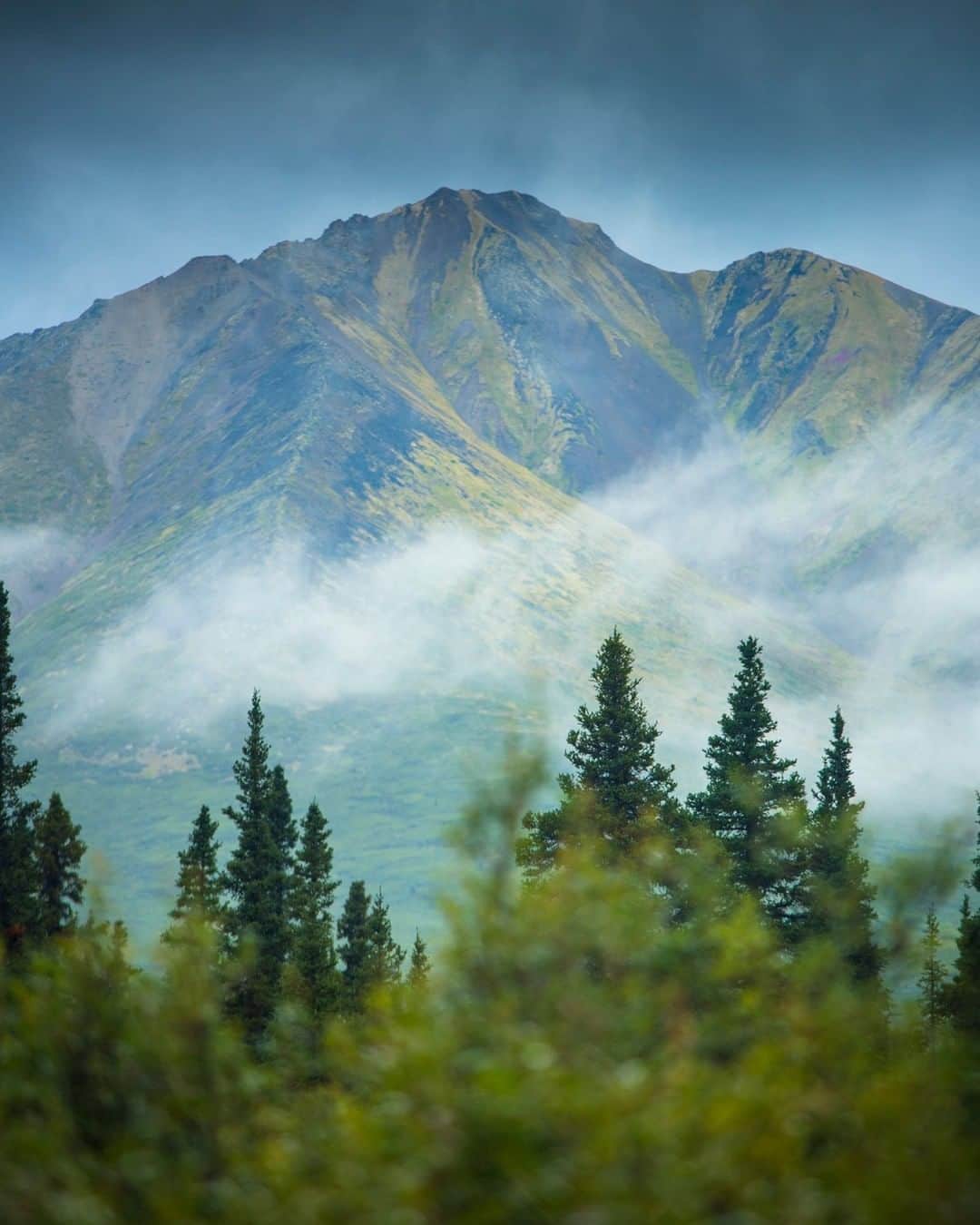 National Geographic Travelさんのインスタグラム写真 - (National Geographic TravelInstagram)「Photo by @emilypolar | Green hillsides emerge on a foggy morning in Tombstone Territorial Park in the Yukon. Tombstone is known for its unstable weather patterns that bring a mythical feel to this already enchanting landscape. To see more of the Yukon and beyond follow me @emilypolar. #Yukon #Canada #Tombstone」11月15日 6時05分 - natgeotravel