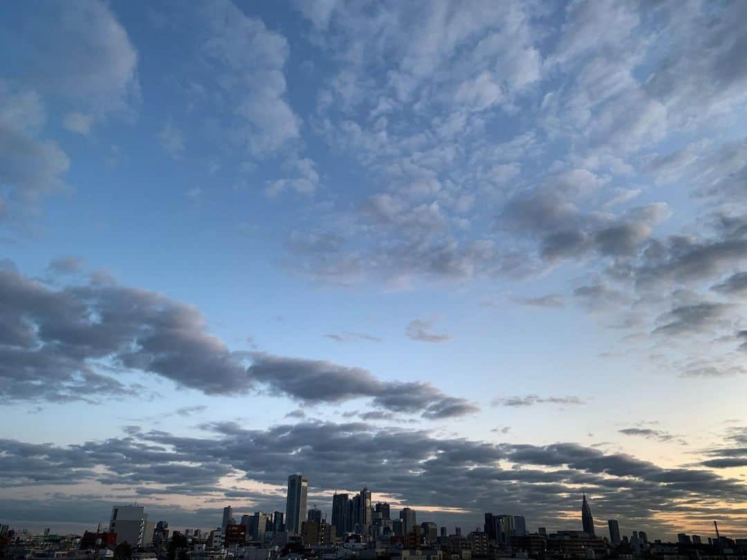 井浦新さんのインスタグラム写真 - (井浦新Instagram)「おはようさん 立冬過ぎて冬の朝らしくなってきた #新宿山 の #暁時」11月15日 6時35分 - el_arata_nest