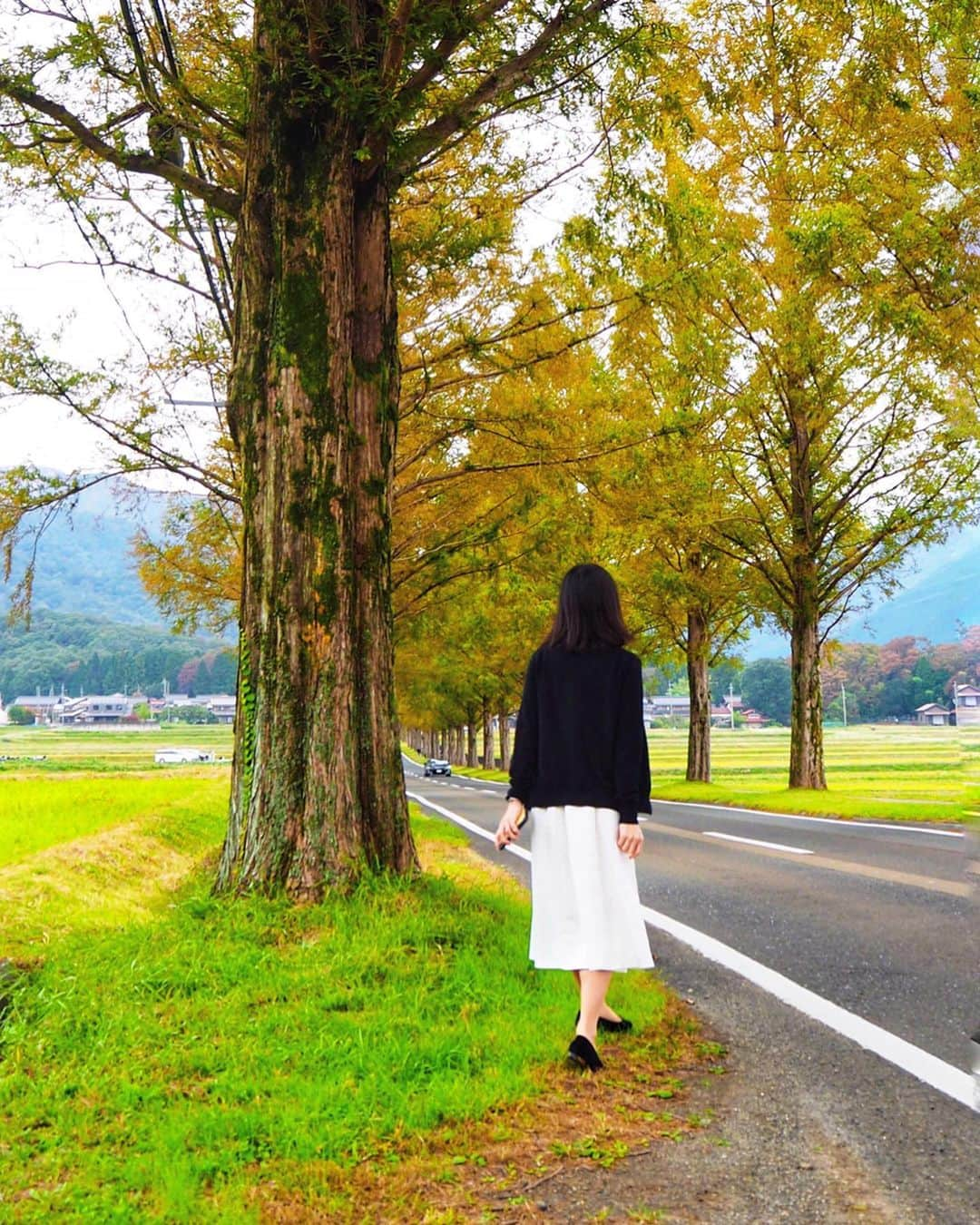 土屋香織さんのインスタグラム写真 - (土屋香織Instagram)「✈︎. マキノ高原の メタセコイア並木🌲🌲 . 本当は親戚の家をまわるために車借りて彦根城🏯の方へ時計回りするつもりしてた2人🚘 私のわがまま発動で琵琶湖を逆回りさせてしまいました🙏🏻笑 なんて優しい🙏🏻✨いつも優しい ⸜(๑⃙⃘'ᵕ'๑⃙⃘)⸝⋆︎* . ずっと見てみたかった マキノ高原のメタセコイア並木🌲🌲 車停めてパシャパシャ写真撮ってたのは実は手前で笑 メインはもうちょい奥だったっていうオチ😂 Jazzyな選曲が素敵だったので動画は音アリで お送りします♪ 紅葉がはじまっててきれいだったなぁ🍁 . . . #ペナン日本人学校 #同窓会 #2人のうんちくいつも聞いてた #牧野と宮野の奇跡 #滋賀観光 #メタセコイア並木 #メタセコイア #metasequoia #retrip_shiga #retrip_滋賀 #タビジョ #genic_pt #joytb #otonatabi_japan #jtbで旅したい #stayway女子旅  #並木道 #滋賀旅行 #instagramjapan #滋賀 #滋賀旅 #紅葉スポット #exploringtheglobe #aroundtheworld #ファインダー越しの私の世界 #tokyocameraclub #genic_mag #retrip_nippon #ハレコレ #genic_japan」11月15日 7時40分 - kaorintsuchiya