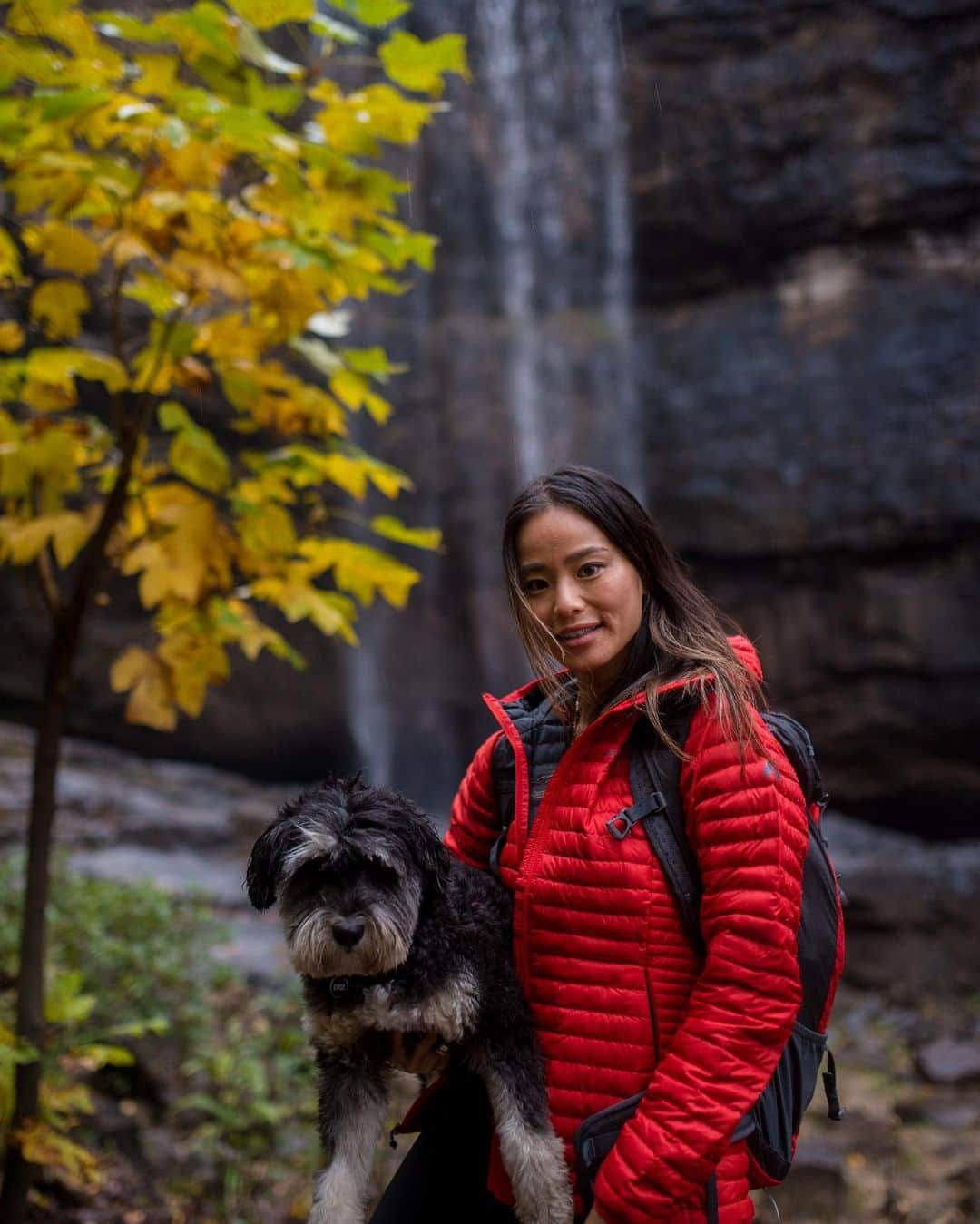 ジェイミー・チャンさんのインスタグラム写真 - (ジェイミー・チャンInstagram)「Trying to recreate the past with @vsoutdoorsnaps @lifescapesphotography @lulalakelt @eddiebauer #liveyouradventure #naturephotography #nature #natureconservation #appalachianmountains #leafwatching #ebcontributor」11月15日 9時02分 - jamiejchung