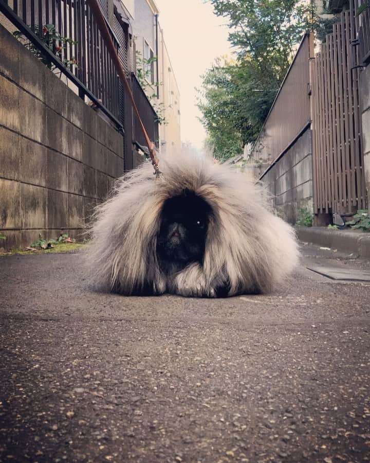 宮田和弥のインスタグラム