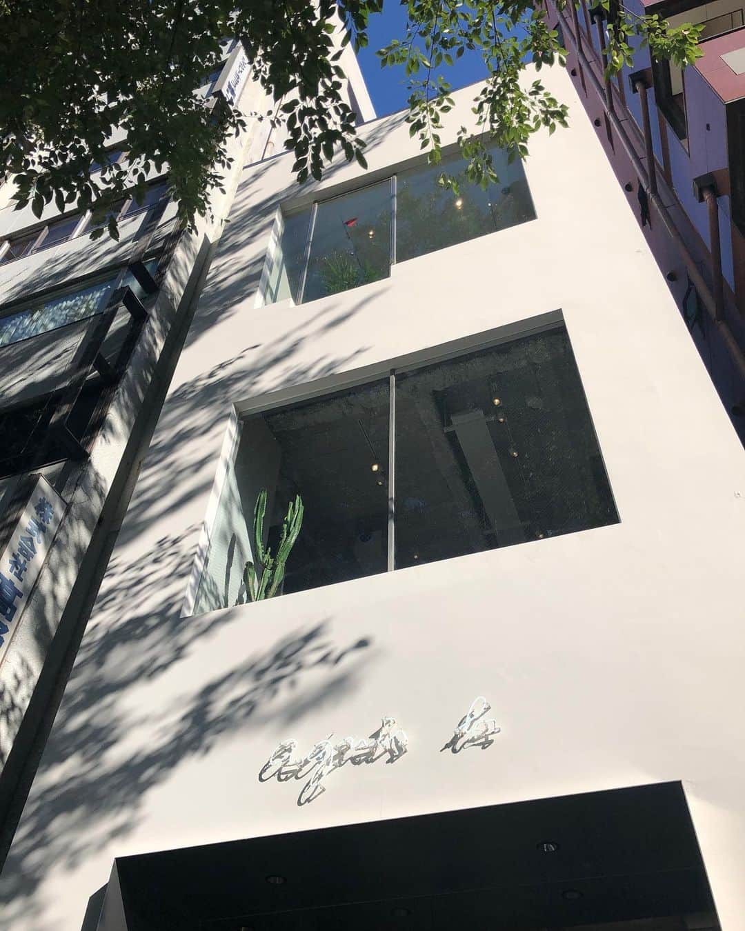 のインスタグラム：「#agnesb new shop in Shibuya! 🇫🇷 ﻿﻿明日11/16(土)、渋谷の明治通りに #アニエスベー の新店舗がオープン！先ほど一足早く内覧会に行ってきました。 . 3フロアからなるショップには、コレクションのほかTシャツなど渋谷らしくストリートを感じるアイテムが並び、最上階には素敵なテラス席のあるパリのようなカフェも併設していて、ついつい長居してしまいそう🌿焼き立てのアップルパイ、美味しかったです。カフェではアニエスのポリシーで、地球環境を考えて、キッチンでもナプキンやゴム手袋も使用しないのだそう。カフェでは個人的に、ゴダール監督の「男性・女性」のオリジナルポスターが飾られていたことにも注目！ . 私が10代の時(90年代！)には、渋谷にシンボルのようにあったアニエスベーのショップ。公園通りの上の店舗や、東急本店やクロワゼにもよく通っていたので、渋谷にアニエスベーがあるなんて懐かしくてワクワクします✨明治通りのNEWショップは、これから渋谷に新しい文化を作っていくシンボルのひとつになると期待して…！ . 今日は、赤と青の格子のニットのセットアップを着て行きました(写真9枚目)。この秋のお気に入り。 #agnesbshibuya」