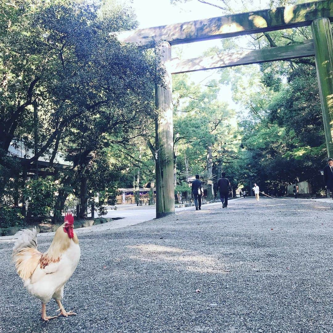 三浦泉のインスタグラム