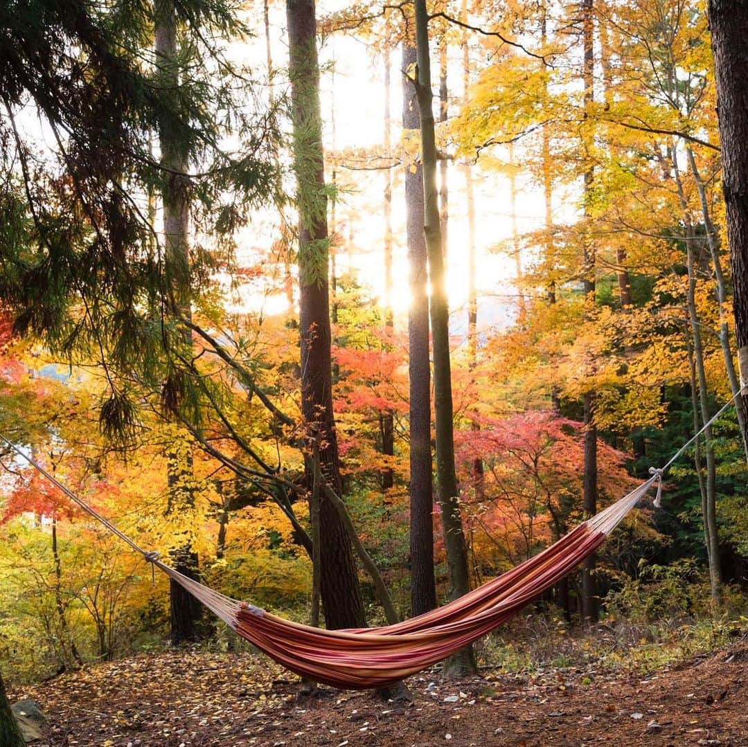 HOSHINOYA｜星のやさんのインスタグラム写真 - (HOSHINOYA｜星のやInstagram)「Take a rest surrounded by autumn foliage.  #hoshinoyafuji #fuji #mtfuji #fujisan #glamping #hoshinoya #hoshinoresorts #星のや富士 #富士山 #グランピング #星のや #星野リゾート」11月15日 10時19分 - hoshinoya.official