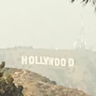 名古屋コミュニケーションアート専門学校_デザインのインスタグラム：「ロサンゼルス到着！ #LA #hollywood」