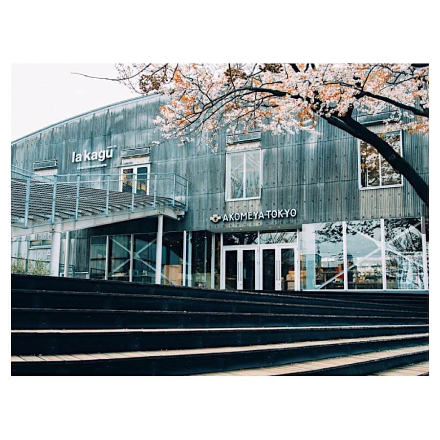 田沢美亜のグルメインスタ