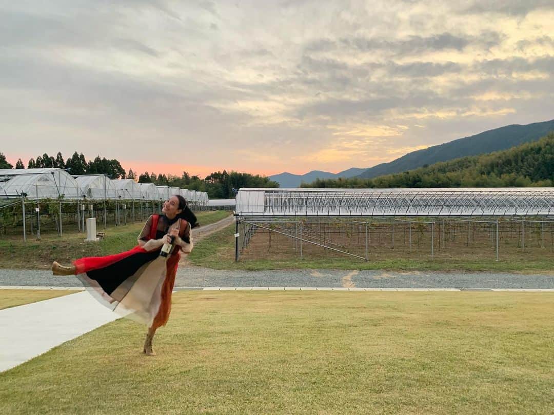 レイヤマダのグルメインスタ