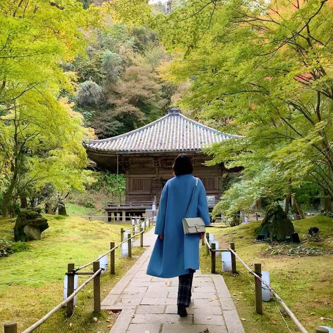 とよた真帆さんのインスタグラム写真 - (とよた真帆Instagram)「旅に行くと更によく歩きます^_^ 秋風が気持ちいい〜  ブルーのコート、パンツは @zara  白いバッグは @pinkoofficial  #maho  #mahostyle #fashion  #50才ファッション #50代ファッション #50代コーデ #松島 #青龍山瑞巌寺  #ザラ #宮城県　#円通院」11月15日 11時29分 - maho_toyota