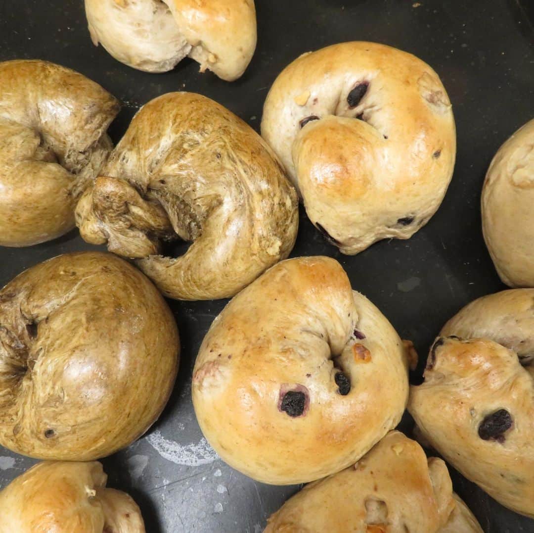 魔女菅原のグルメインスタ