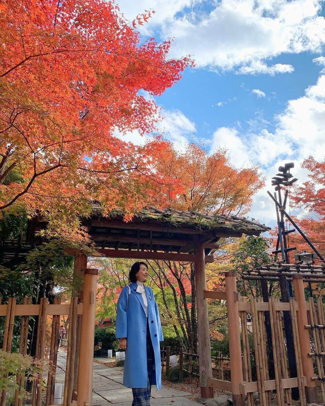 とよた真帆さんのインスタグラム写真 - (とよた真帆Instagram)「紅葉が目に染みます🍁  秋‥‥お腹空いてきました（笑）  #maho #mahostyle #fashion  #50才ファッション #50代コーデ  #宮城県 #松島 #円通寺 #松島青龍山瑞巌円福禅寺  #紅葉 #秋」11月15日 11時36分 - maho_toyota