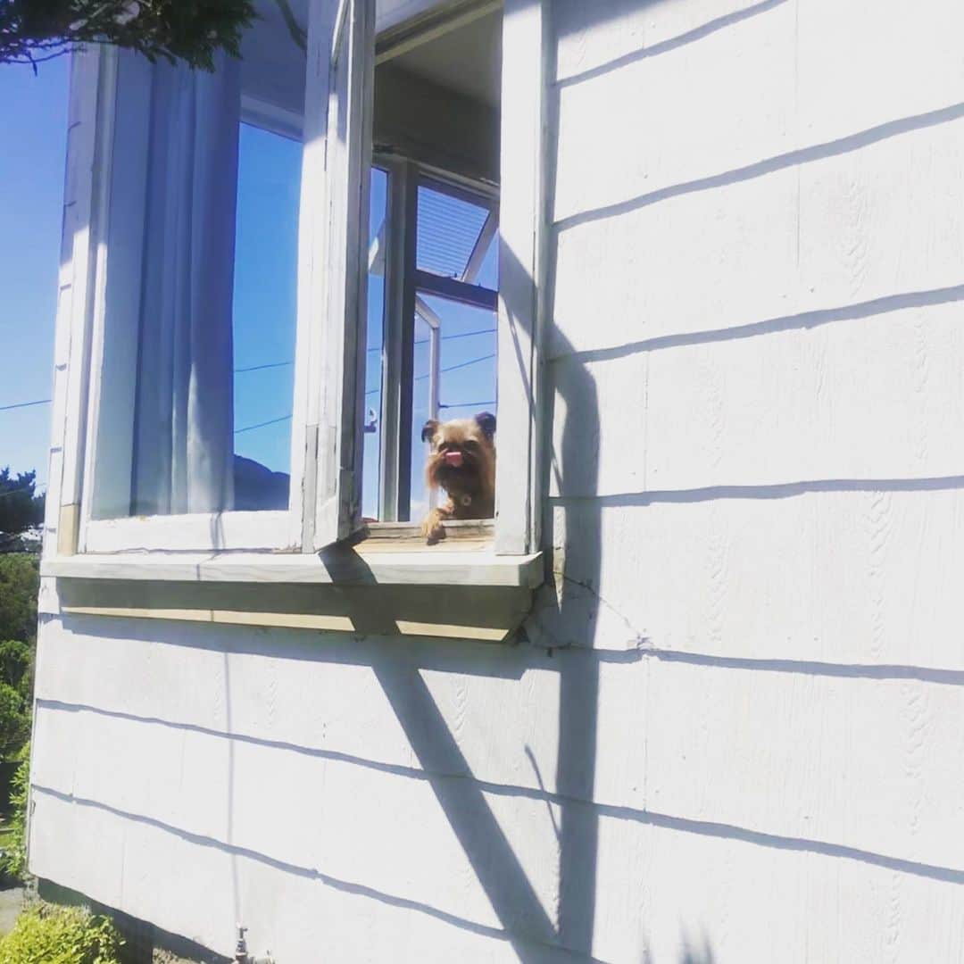 のインスタグラム：「When you’re hanging out laundry but your son needs attention」