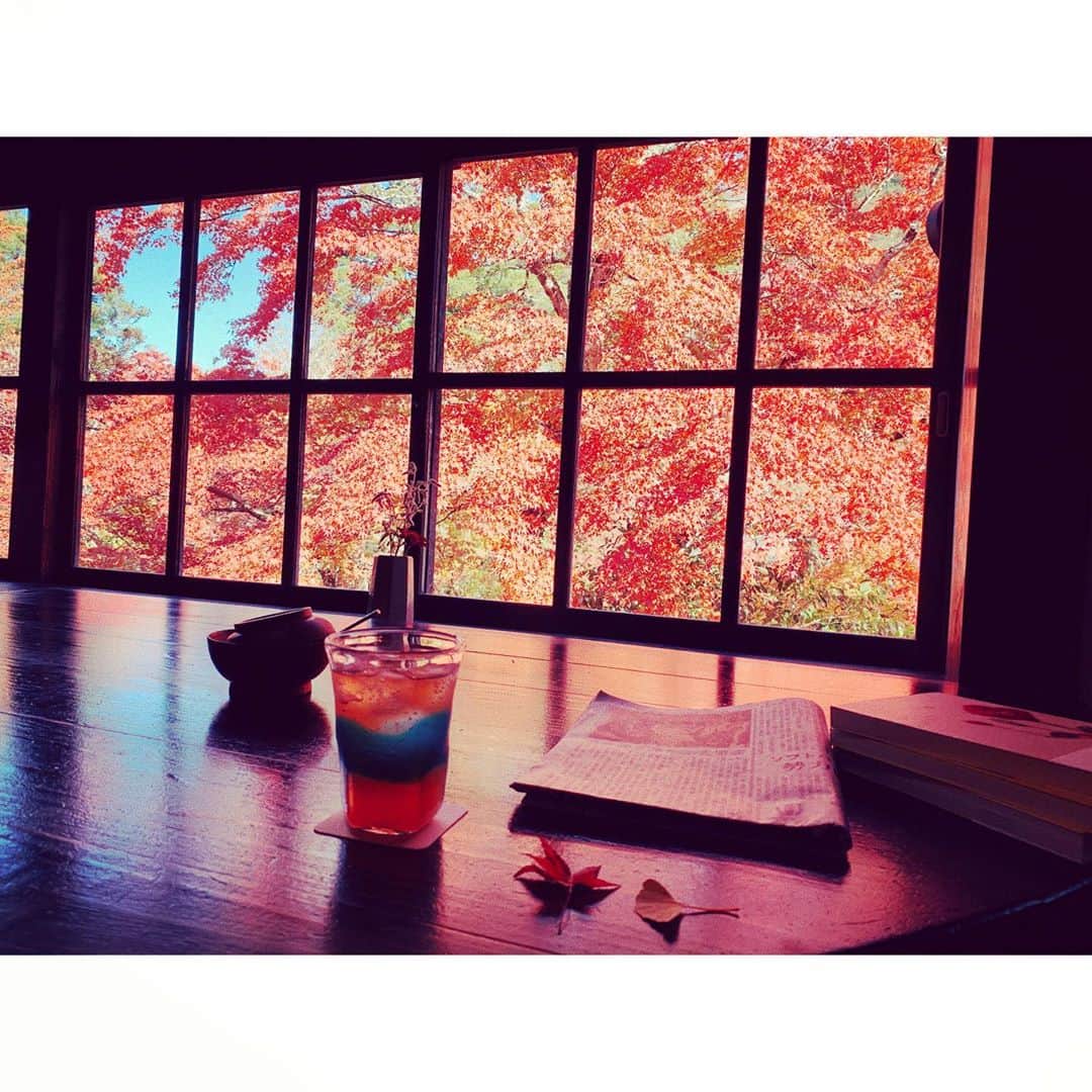 のインスタグラム：「紅葉と本とジンジャエール。 贅沢な空間で至福の読書時間🍁 #紅葉」
