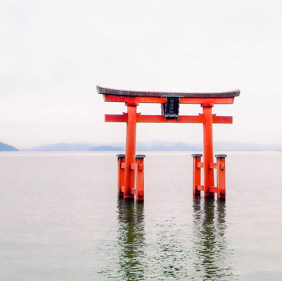 土屋香織さんのインスタグラム写真 - (土屋香織Instagram)「✈︎. 白髭神社⛩ . 琵琶湖に建つ鳥居。 前回滋賀に来た時寄れなくて 心残りだった場所に連れて行ってもらいました◡̈ （てかこのバイパスが大渋滞！いつも混むようで。時間切れで親戚の家まわれなかっただろうなぁ...振り回しちゃって申し訳なかった🙇‍♀️） 思い切り横断禁止って書いてあるから 渡らずに道挟んで見ました。 青空の下で鳥居の周りでSAPやりたい☀︎ . 近くのお蕎麦屋さん並んで 近江牛ぶっかけ蕎麦を🍜 観光地プライスで1900円...笑 私もこの辺にお店出したい笑 . いつも忘れる御朱印帳 今回はちゃんと持参⸜(๑⃙⃘'ᵕ'๑⃙⃘)⸝⋆︎* 御朱印帳は #伊勢神宮 の。 御朱印帳袋は #二見興玉神社 のです。 . あ、そういえば。 #飛び出し坊や は滋賀発だそうです🏃‍♂️ . . . #ペナン日本人学校 #同窓会 #白髭神社 #滋賀観光 #shirahigeshrine #御朱印 #御朱印巡り #御朱印帳 #retrip_shiga #retrip_滋賀 #タビジョ #genic_pt #joytb #otonatabi_japan #jtbで旅したい #stayway女子旅 #滋賀旅行 #instagramjapan #滋賀 #滋賀旅 #exploringtheglobe #aroundtheworld #ファインダー越しの私の世界 #tokyocameraclub #genic_mag #retrip_nippon #genic_japan」11月15日 23時54分 - kaorintsuchiya