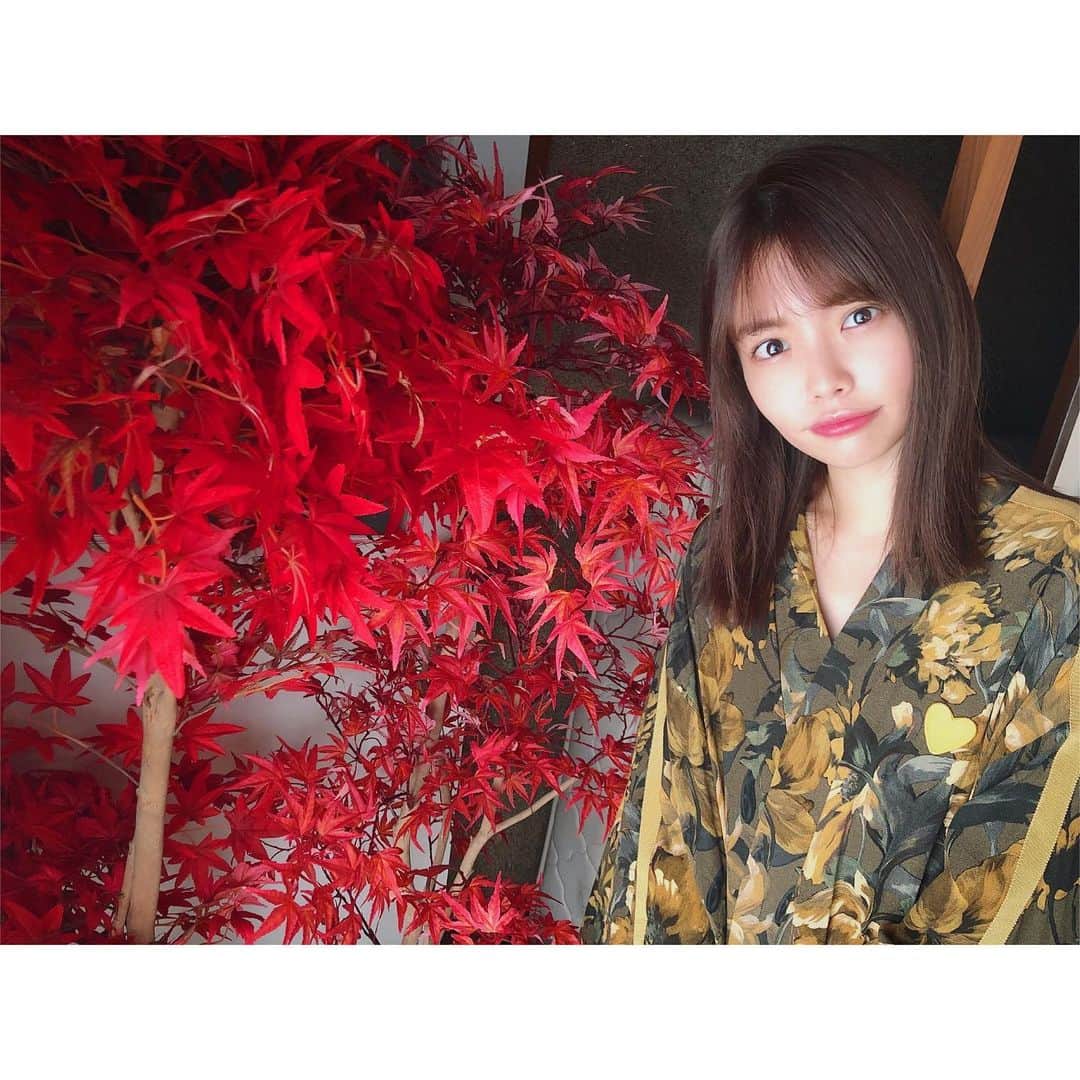 渕上舞さんのインスタグラム写真 - (渕上舞Instagram)「🍁🍁﻿ ﻿秋が一瞬で通り過ぎて冬になった感覚…！ 好きな季節、毎年あっという間に過ぎちゃうな😢 ﻿ 【お知らせ】﻿ 雑誌 B.L.T. 2020年1月号﻿ (11月22日発売予定)﻿ またまたB.L.T.さんにソロで載せていただきます🙆‍♀️﻿ セブンネット限定特典ではなんと私のポストカードが付きます！﻿ 数量限定なので、皆さまぜひ…☺︎❤︎﻿ ﻿ ﻿ #雑誌 @b.l.t.official #ソログラビア #撮影 #オフショット #hkt48 #渕上舞」11月15日 23時55分 - mai_fuchigami_48