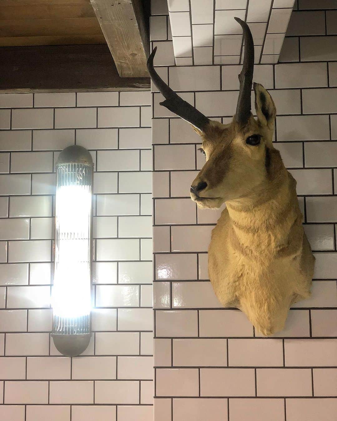 フリーマンズスポーティングクラブのグルメインスタ