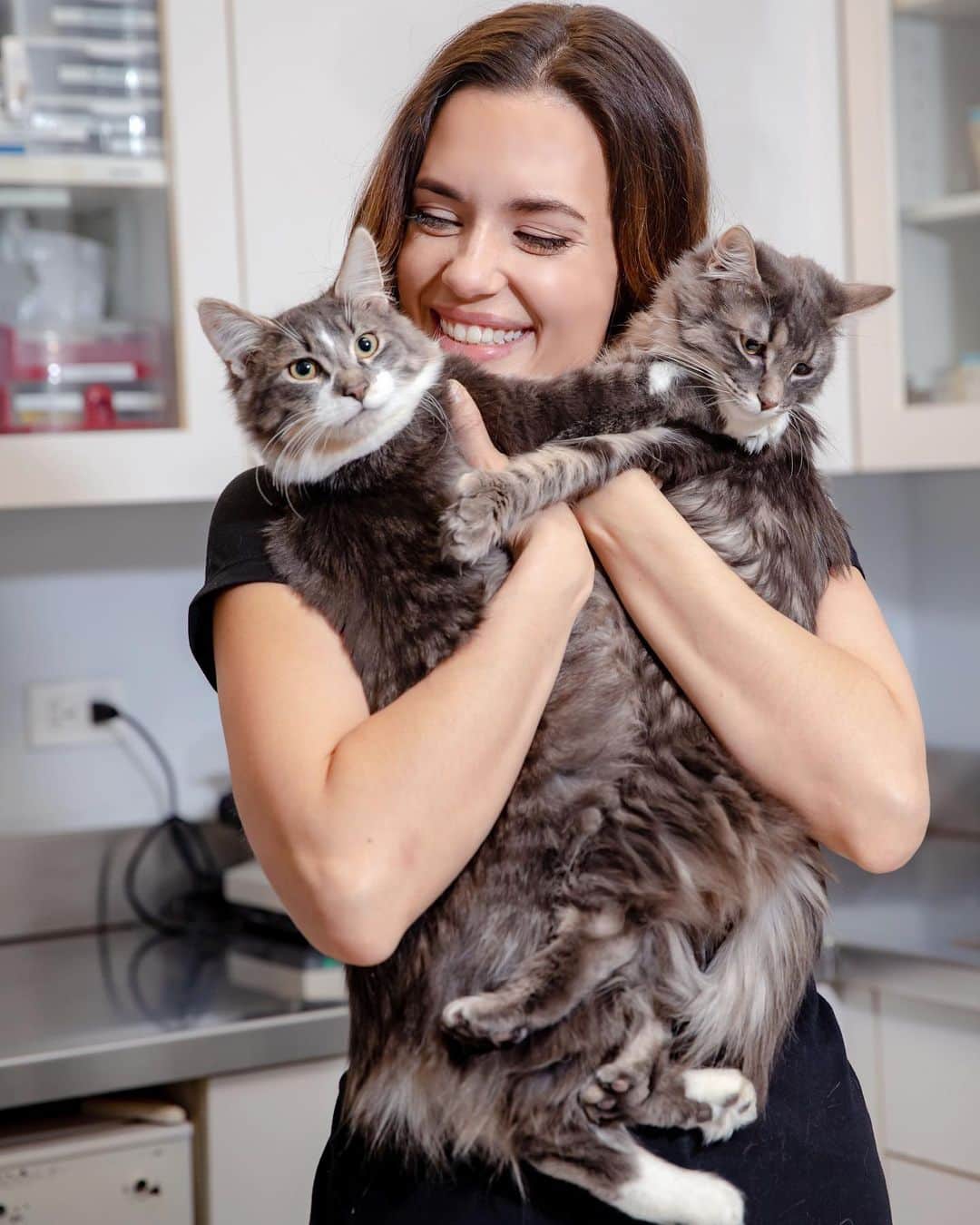 トーレイ・デヴィートのインスタグラム：「I am so excited to be the Special Guest at @PAWSChicago’s 18th Annual Fur Ball tonight, Friday, November 15! As Chicago’s premier pet-friendly black-tie event, the Fur Ball is an elegant affair designed to raise awareness about homeless pets and the PAWS mission to make Chicago a No  Kill community. Hosted at the Drake Hotel in Chicago, over 800 compassionate animal lovers and their canine companions will walk the red carpet, enjoy cocktails, dinner, dancing, a Dog Spa, and live & silent auctions while raising critical funds for their life-saving work in animal  welfare. Join me! Tickets and information on how to support the event at  pawschicago.org/furball. Link also in bio」