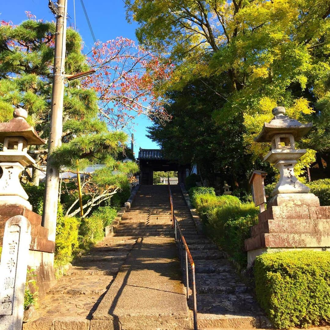 彩住宅さんのインスタグラム写真 - (彩住宅Instagram)「#一言寺 #醍醐 #伏見 #京都」11月15日 15時03分 - saijyutaku