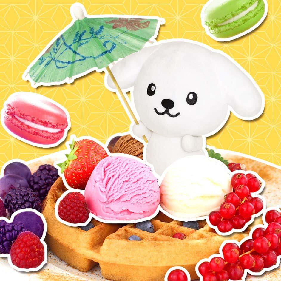 のインスタグラム：「ワッフルにアイスやベリーをたっぷりトッピング！ #和傘をもってはんなりと #ダス犬のスペシャルおやつ #好きなものばっかり」