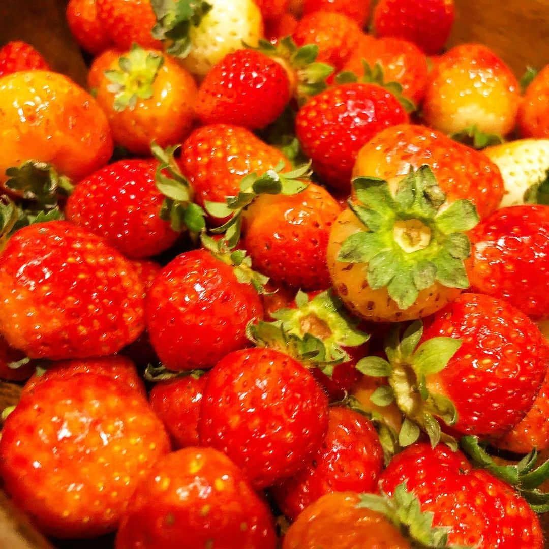 アンジェラ佐藤のグルメインスタ