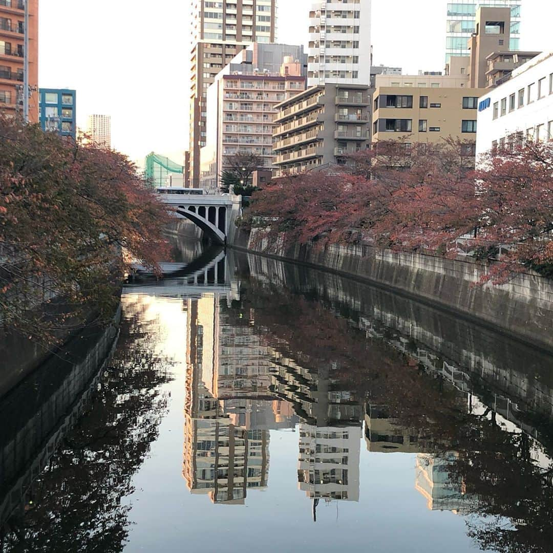 永楠あゆ美のインスタグラム：「目黒の紅葉 今日はこれからボイトレです！ また皆さんと一緒に歌いたいなぁ。」