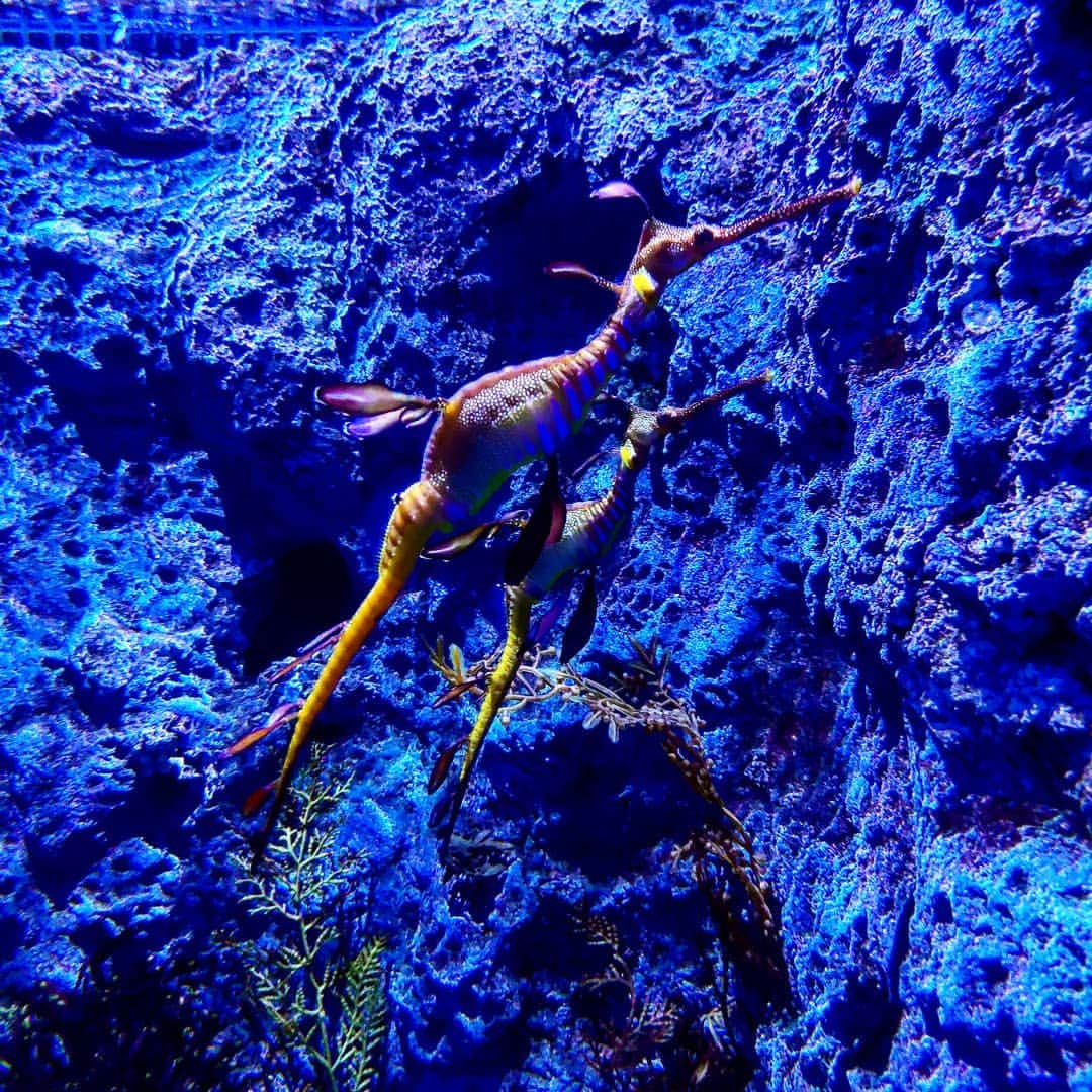 のインスタグラム