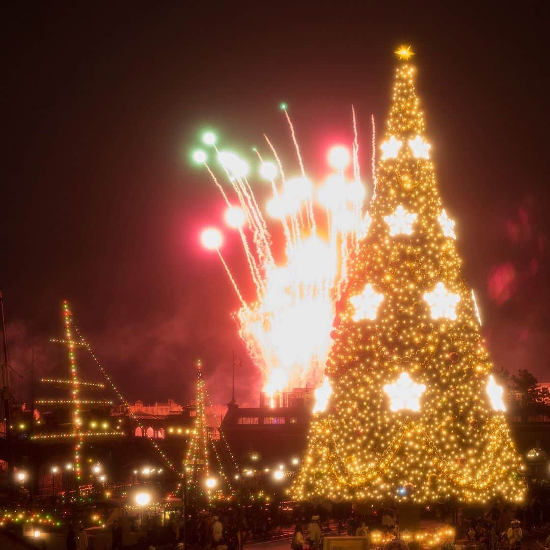 東京ディズニーリゾートさんのインスタグラム写真 - (東京ディズニーリゾートInstagram)「Perfect timing! あざやかなクリスマス♪ #disneychristmas #americanwaterfront #tokyodisneysea #tokyodisneyresort #christmastree #fantasmic #ディズニークリスマス #アメリカンウォーターフロント #東京ディズニーシー #東京ディズニーリゾート #クリスマスツリー #ファンタズミック」11月15日 16時45分 - tokyodisneyresort_official