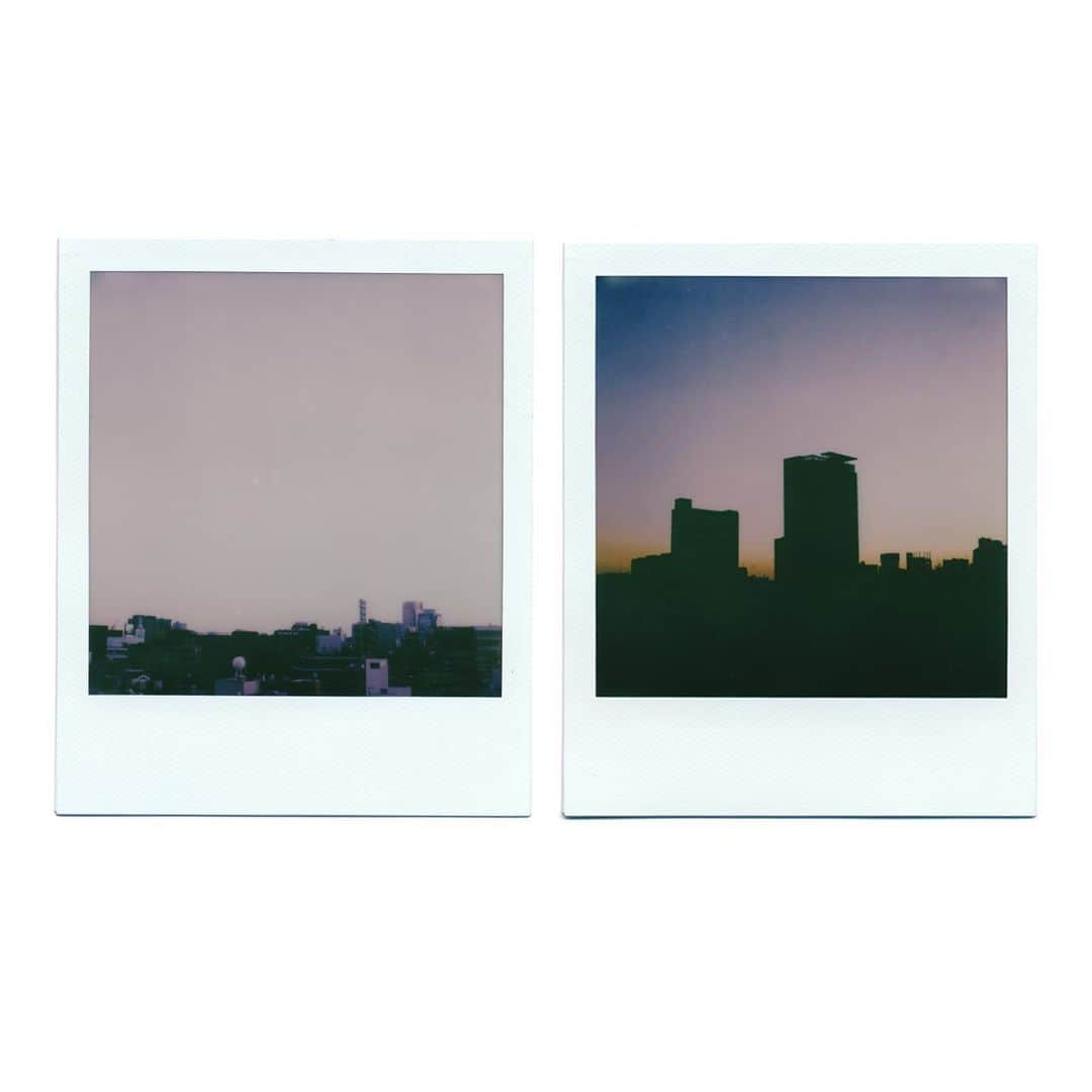 関根正悟さんのインスタグラム写真 - (関根正悟Instagram)「“sunset” ・ #polaroid  #sx70  #shogosekine」11月15日 17時02分 - shogosekine0319