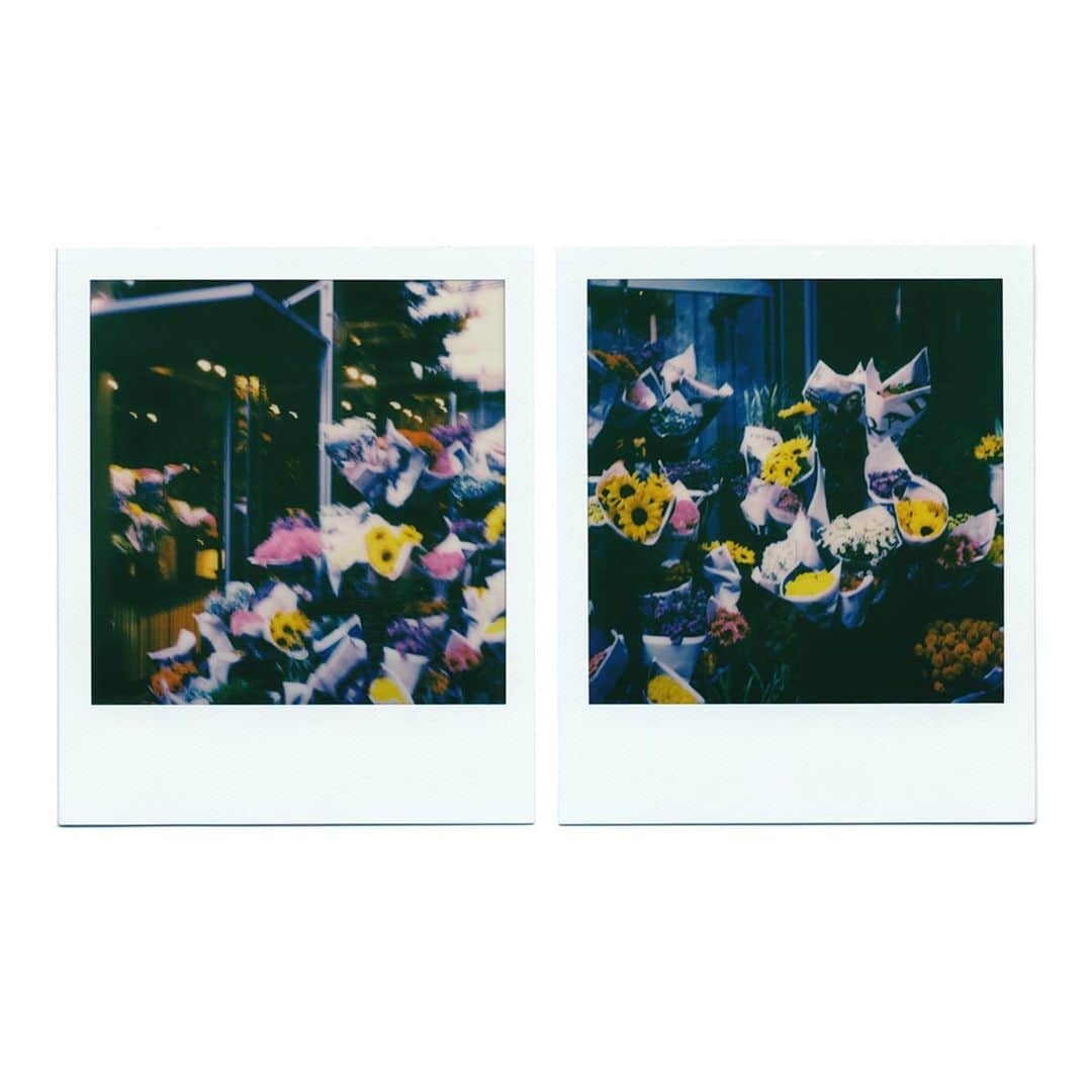 関根正悟さんのインスタグラム写真 - (関根正悟Instagram)「“flower shop” ・ #polaroid  #sx70  #shogosekine」11月15日 17時07分 - shogosekine0319
