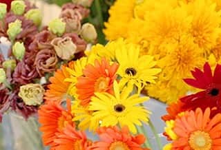 リンネルさんのインスタグラム写真 - (リンネルInstagram)「12/7(土)リンネルクリスマスマーケットでは、「花男子プロジェクト」さんによる、パフォーマンスステージを行います👏👏🎄 花の産地、愛知県東三河で結成され、「日本一花を作る町を、日本一花を贈る町にする」をコンセプトに、男性から女性へ花を贈る文化を育て、全国に発信されている花男子プロジェクト(@hanadanshi2011 )さん。  今回のイベントでは、MCや音楽を交えながら、ブーケを作る華やかなパフォーマンスを披露してくださいます🎻💐 来場いただいた方へプレゼントがあるかも？！🤗 ぜひお楽しみに〜〜🎄🎄❣️ --------------------------------﻿ 日時:12月7日(土)13:00スタート予定﻿ 場所:二子玉川ライズ ガレリア(東京都世田谷区2-21-1)﻿ ＊🎅も来るかも...?!﻿ -------------------------------- ﻿ ... #リンネル #リンネルイベント #リンネルクリスマスマーケット #花男子プロジェクト#リンネルクリスマスマーケット」11月15日 17時08分 - liniere_tkj