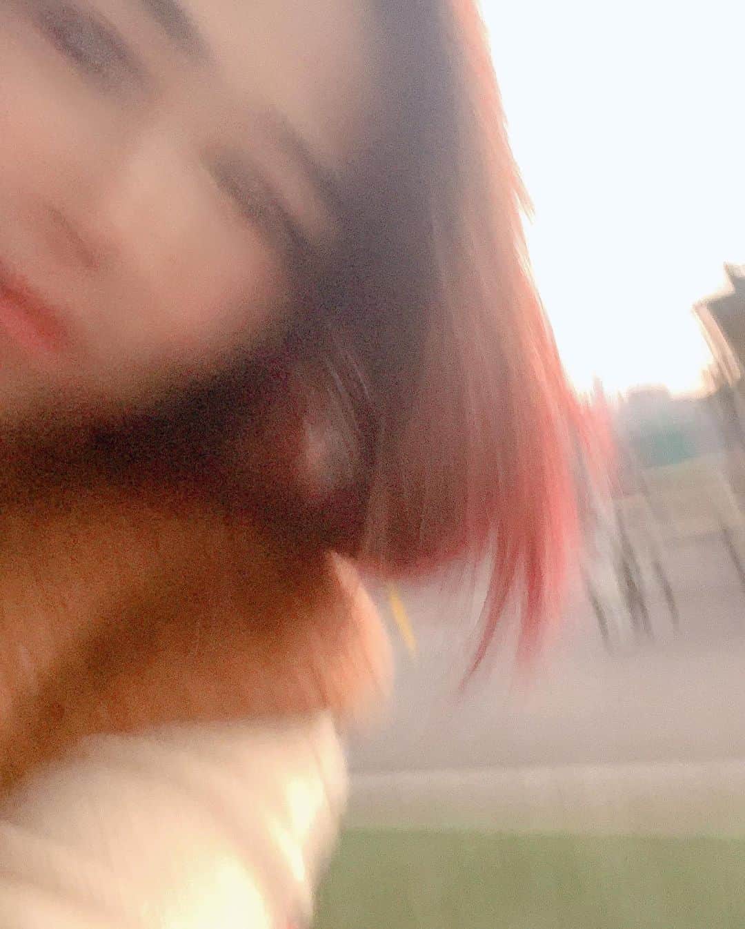 MINMIさんのインスタグラム写真 - (MINMIInstagram)「今日も夕焼け綺麗だった photo by @airatokyo」11月15日 17時23分 - minmidesu
