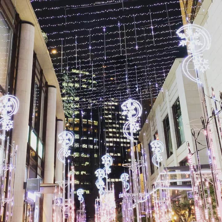 のインスタグラム：「winter sparkles the most.✨ #tokyo #東京を生きる　#rip」