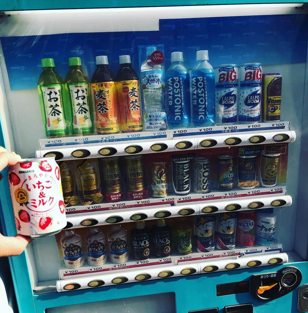 Larry のインスタグラム：「ディスプレイに無い商品が出てきました。 これはなにかしらの当たりという事ですよね！ 国破れてサンガリア 1.2.サンガリア」