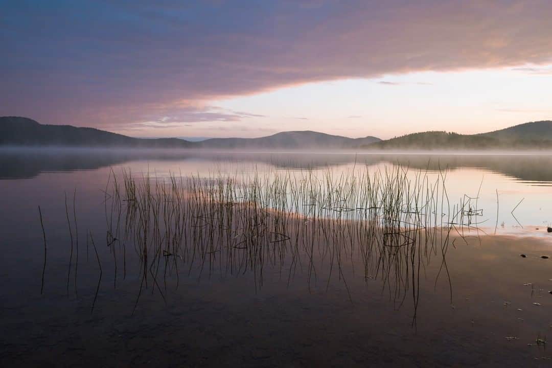 National Geographic Travelさんのインスタグラム写真 - (National Geographic TravelInstagram)「Photo by @kiliiiyuyan | The delicate stems of reeds rise above the water at Lake Inari in northern Finland. Although the Arctic is often thought of as frozen, much of it is teeming with life, especially in the busy growing season of summer. Follow me @kiliiiyuyan for more from the Arctic and beyond. #finland #landscape #arctic」11月15日 18時09分 - natgeotravel