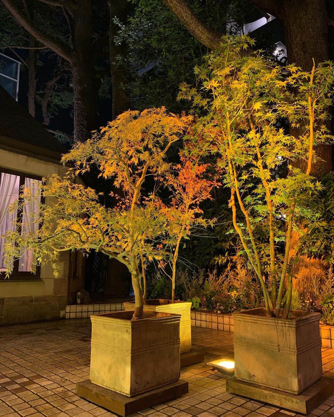 Leau a la boucheのグルメインスタ