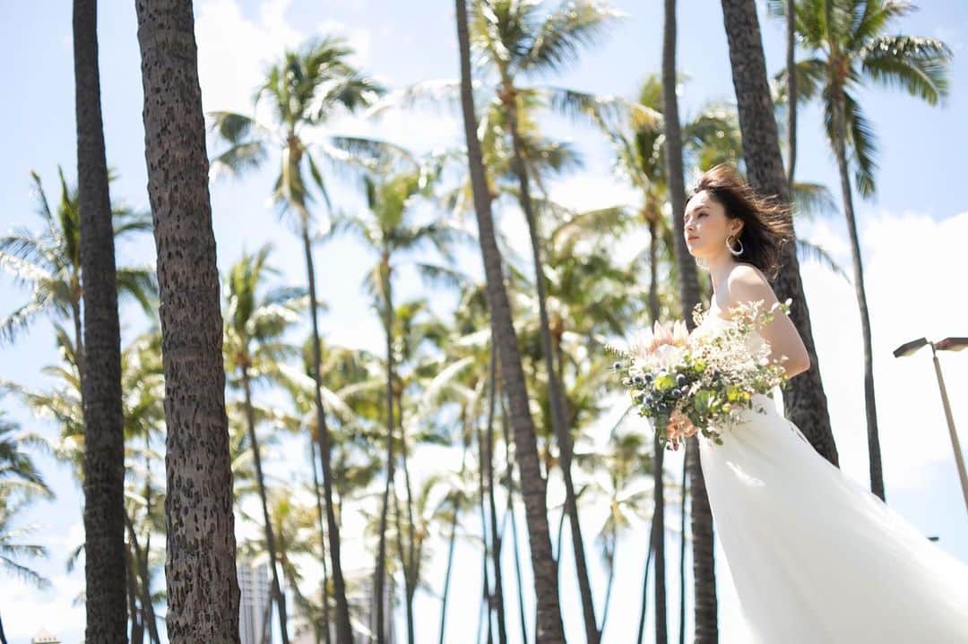 クチュールナオコウエディングさんのインスタグラム写真 - (クチュールナオコウエディングInstagram)「* * #アラモアナビーチ のヤシの木を背景にハワイらしいショットを✨ * * 風と海の香りを感じるような臨場感のある1枚📸  Area ： #ハワイ  location：#アラモアナビーチ model ：@kurumikahn  hair&make ：@bilino_naoko  photographer ：@recuerdohawaii * * ＝＝＝＝＝＝＝＝＝＝ * * @couturenaoco_resortwedding * 【#クチュールナオコウェディング】をつけてぜひ投稿&フォローしてくださいね♬ このアカウントでご紹介させていただきます💕 * * ・・・・・・・・・・・・・・・・ 🎀クチュールナオコウェディングとは ・・・・・・・・・・・・・・・・ . 「挙式日はいちばん素敵におしゃれをする日」をコンセプトにドレスショップならではの感性で、 ドレス・タキシードはもちろんのこと、挙式やパーティー、フォトなど おふたりのご希望に合わせたウエディングスタイルをトータルコーディネート👗 特別なその日を快適に迎えるためのお手伝いをいたします♡ * ・・・・・・・・・・・・・・・・ 🎀クチュールナオコが選ばれる4つのポイント ・・・・・・・・・・・・・・・・ . 👗ドレスショップならでは♪ドレスが圧倒的に豊富 . ✈️トータルコーディネートから旅行まで♪挙式以外もしっかりサポート . ⛪理想の挙式スタイルが叶う♪豊富なエリアと会場 . 💁日本人専任スタッフがお手伝い♪安心の現地サロン * ・・・・・・・・・・・・・・・・ 🎀クチュールナオコサロン情報 ・・・・・・・・・・・・・・・・ .  銀座本店・札幌店・仙台店・名古屋店・京都店・心斎橋店・福岡店 . . ◆◇リゾートウェディング相談会🌴開催中◇◆ . クチュールナオコ各店では無料相談会を実施しています♪ 毎月のフェアではスペシャル特典もございますので、ぜひご来店お待ちしております♡ . 資料請求・来店予約は、@couturenaoco_resortwedding プロフィールのHP🔗から♬ * * #クチュールナオコ #couturenaoco  #couturenaocowedding #ナオコウェディングストーリー #naocoweddingstory  #ウェディング #結婚 #結婚式 #花嫁 #ハワイウェディング #ハワイ挙式 #ハワイ結婚式 #リゾートウェディング #ウェディングフォト  #wedding #resortwedding  #プレ花嫁 #結婚式準備 #花嫁準備  #2019春婚 #2020夏婚#2020秋婚#2020冬婚#前撮り#後撮り」11月15日 18時25分 - couturenaoco_resortwedding
