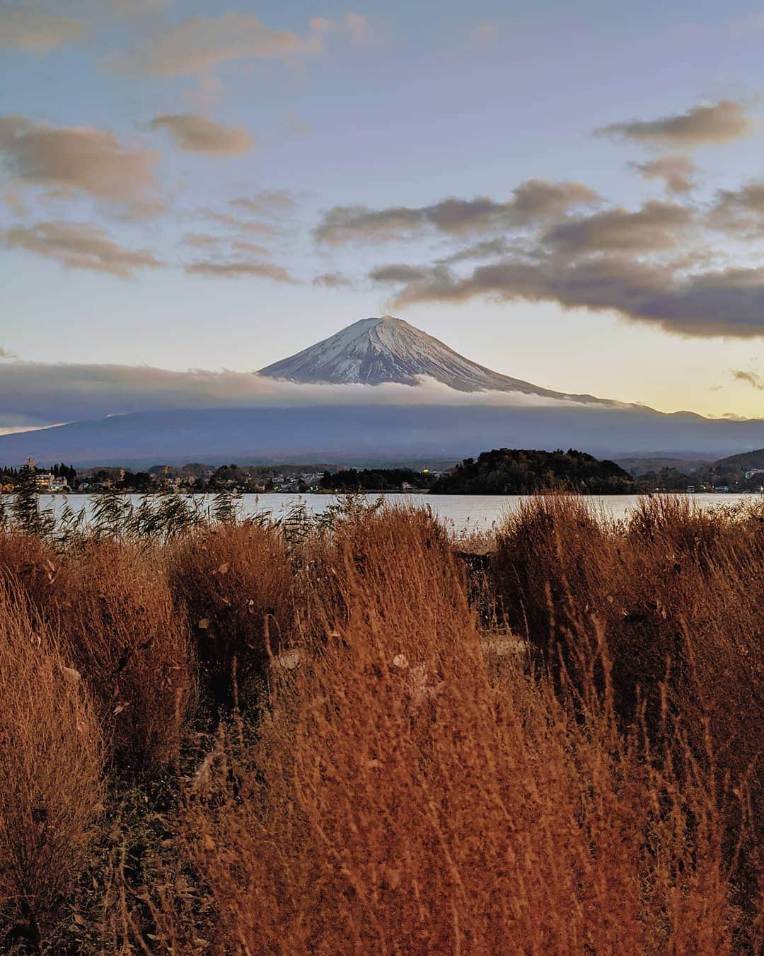 masayaさんのインスタグラム写真 - (masayaInstagram)「twilight Mt Fuji 富士山 Lake Kawaguchi 河口湖 today Oishi Park 大石公園 かなりの暗さでもPixel なら手持ちでも 手ブレなくシャープに撮れます。 #pixelで撮影 #teampixel #googleのスマホ」11月16日 0時02分 - moonlightice