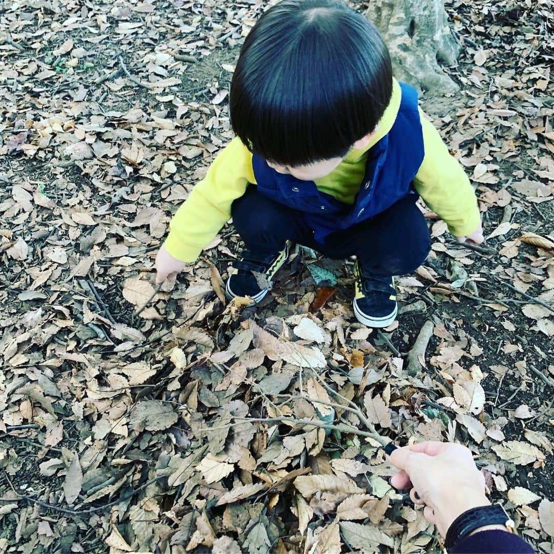 安田美沙子さんのインスタグラム写真 - (安田美沙子Instagram)「今のところ、サッカーが1番好きみたい😊❤️✨ まっすぐ蹴れるね！たまにバスケもするし、たまにラグビーなのかタックルもする。代々木公園を一周蹴り続けて、疲れた💦って言ってました✨やったー！！ 最後は落ち葉と石で焼き芋🍂 . . . #instagood #boy #30monthsold #ball #soccer #park #小さい彼氏 #焼き芋 #thomas #handm #uniqlo  #vans #beautiful #fall #thanks」11月15日 18時46分 - yasuda_misako