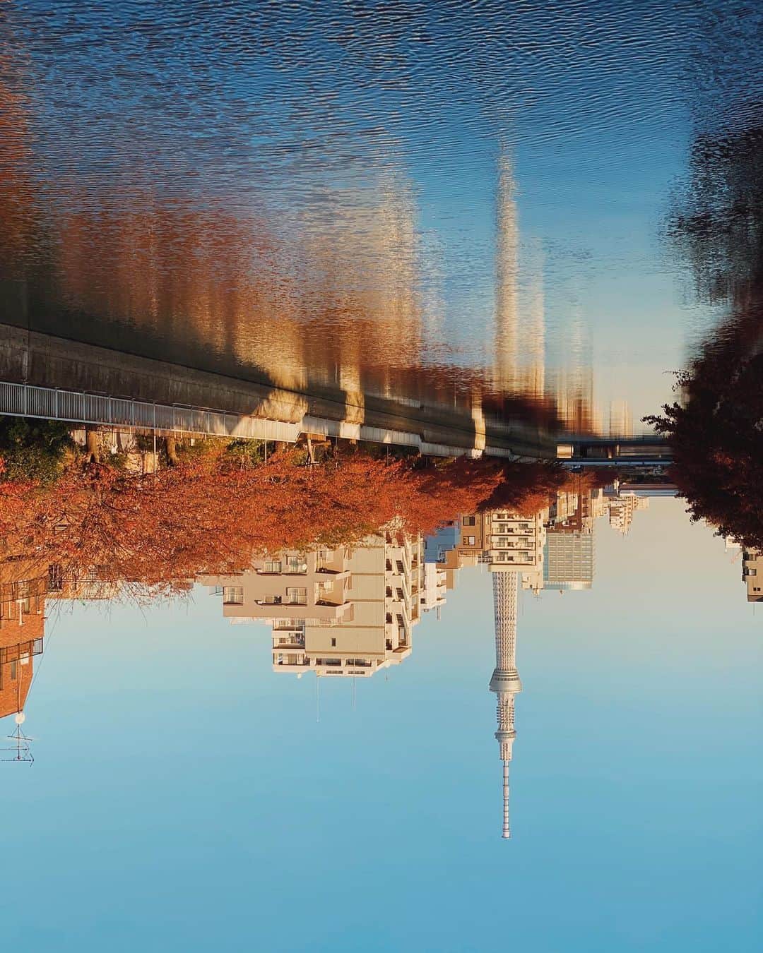 ima_ju / Jun Iのインスタグラム：「. . Autumn Comes Slowly... . . wiz @tokyo_grapher #ShotOn_TG  #ShotoniPhone . Telephoto LENS 50mm #TG_TELE . . ::」