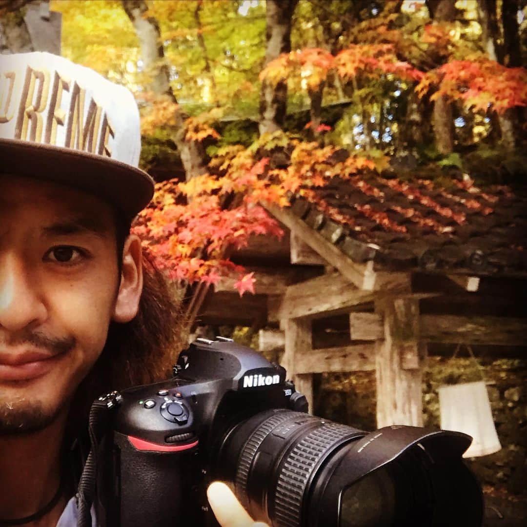 のインスタグラム：「#比叡山 #延暦寺 #1人旅 楽しかったです！🚶‍♂️ #紅葉 はもうちょい引きつけたい感じでしたが、緑ありな感じも自然界らしさで逆にアリでした！🍁 #寺 と紅葉の組み合わせはたまらんです。感謝。🙏 #旅 #旅人 #photographer #カメラマン #nikon #japan #滋賀県 #日本」