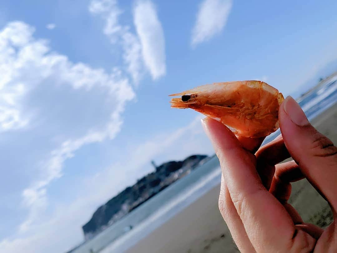 芳美リンさんのインスタグラム写真 - (芳美リンInstagram)「台湾で話題のお菓子が日本上陸👏  エビのお菓子「エビおじさん」って知っていますか？  エビおじさんのギフトセットをいただきました！  エビのお菓子と言うと、えびせんみたいなのかなあ？ と思っていたら、そのまんま海老！（笑）  サクッとしているのにフワ！ 新食感☺🦐 海老の甘みが💮  小いさな袋に入っていて、持ち運びしやすいので、お外でのおやつタイムにナイス✨  @ZaokaFormosa #ZaokaFormosa #エビおじさん#pr #エビおじさんギフトセット#ギフトセット #台湾 #湘南SUPガール﻿﻿ #SUP#サップ﻿#江ノ島#マリンスポーツ#海好きな人と繋がりたい﻿ #アウトドア#MaLynn  #outdoor# #beach#キャプテンスタッグ#鹿番長﻿﻿」11月15日 20時18分 - lynn.lynn5