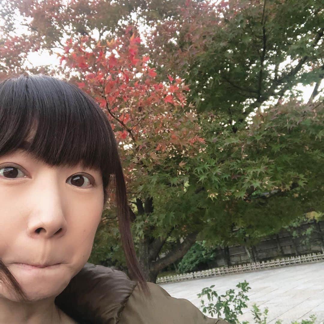 小泉エリのインスタグラム：「吉本坂46二次審査、残り三日となりました😄 今日もプロフィールにリンクをしている所からぜひ、投票をよろしくお願いします😊 あと、3つ前にアップした動画にいいね！をして頂ければさらにポイントアップになるのでよろしくお願い致します♥️ 今日は秋を感じようと、紅葉を見てきました🍁 自分ともみじ、どちらも撮ろうと思うと大変でしたがなんとか写りました📸 それにしても朝と夜は冷えますねぇ～ みなさん、暖かい格好で明日もお出かけくださいね💕 #吉本坂2期生オーディション  #紅葉」