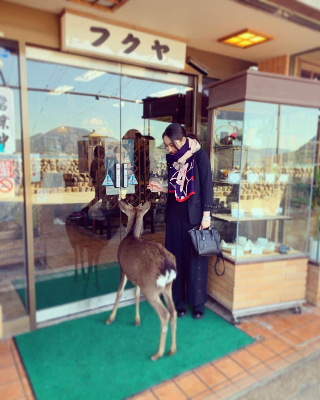 平祐奈さんのインスタグラム写真 - (平祐奈Instagram)「色づいてきましたね🍁 今日は七五三の方が多くて、私もあの頃を思い出しました🌸  街で出逢ったおじちゃんに松ぼっくりを頂きました☺︎ 鹿さんも可愛かったな〜。🦌🦌 善い日。  みなさんも佳き週末を、、☘ 寒くなってきましたのでお風邪などお気をつけて下さいね。」11月15日 20時41分 - yunataira_official