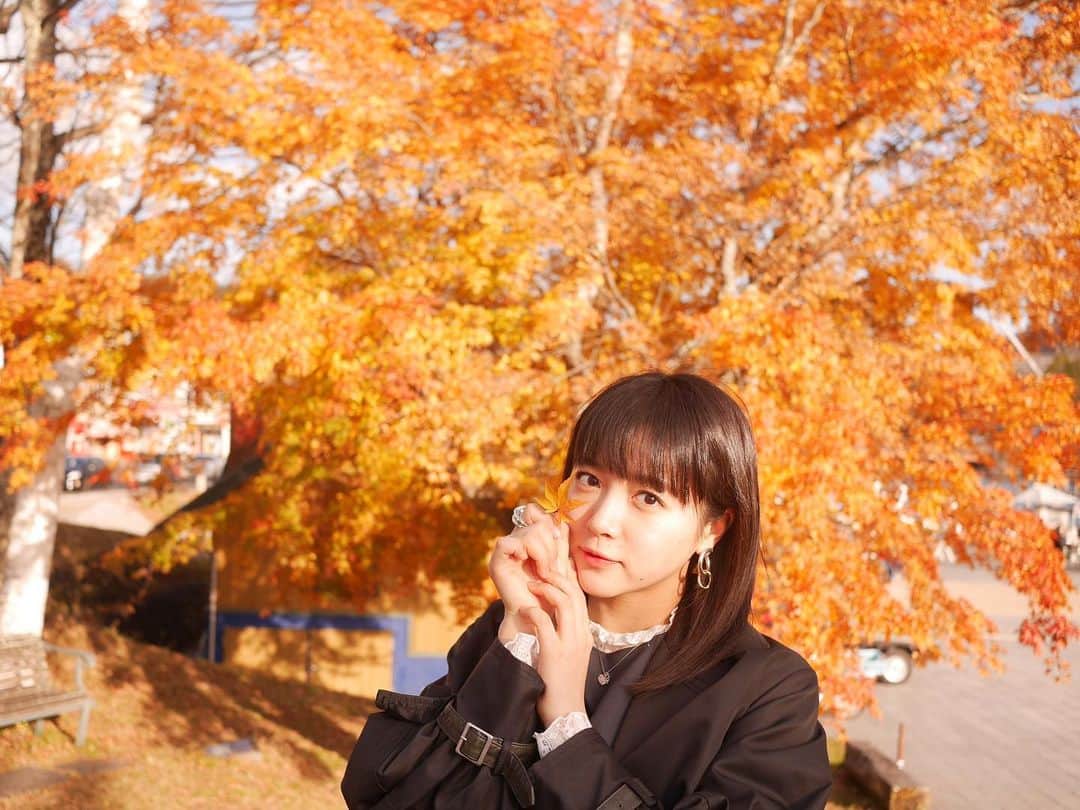 中山莉子さんのインスタグラム写真 - (中山莉子Instagram)「→﻿ 秋を探しに🍁　﻿ ﻿ #日光#紅葉」11月15日 20時56分 - nakayama_riko_official
