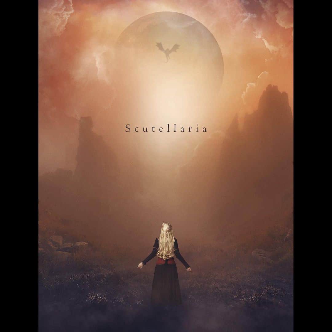 おとうさんスイッチのインスタグラム：「合成動画「Scutellaria」　メイキングはYouTubeで⭐︎　#フォトマニュピレーション #アート #photoshop #graphics #art #photomanipulation」