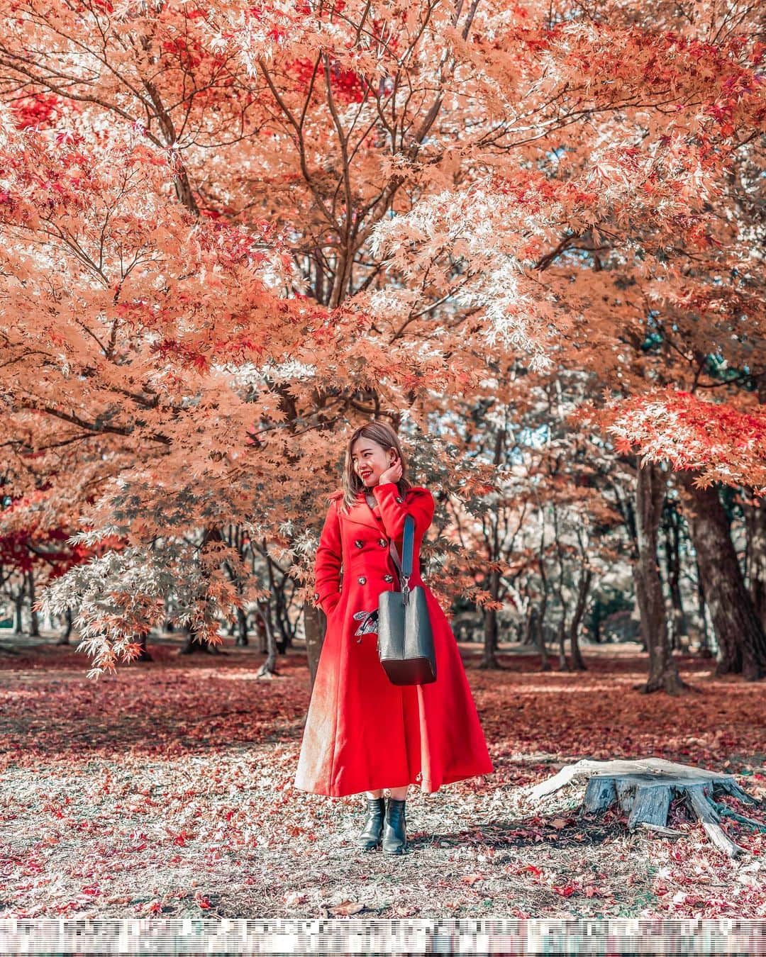 のインスタグラム：「Chasing after Momiji 紅葉 to the north. Finally found a perfect spot in Hakodate 😍」