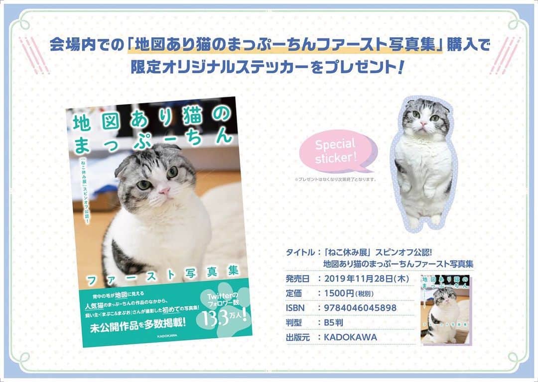 のインスタグラム：「まっぷーちんの写真集が出来ました！！ #ねこ休み展 の会場でご購入いただくとステッカーをプレゼント😼💓 Amazonで予約も出来ますので是非🙌  https://www.amazon.co.jp/dp/4046045892  #猫 #ねこ #cat #マンチカン #短足マンチカン #折れ耳マンチカン #manchkin」