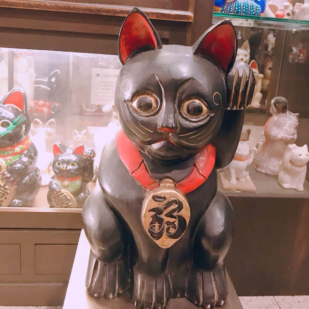 三浦泉さんのインスタグラム写真 - (三浦泉Instagram)「* 愛知県旅レポ✨🐈 〜  国内最大級の 招き猫ミュージアムへ💕🐱 * 招き猫ミュージアムがある瀬戸市は今から100年前 明治30年代後半に全国の陶磁器産地の中で始めて 招き猫の量産を開始した招き猫の故郷なんだそう♥️ だから 大須商店街に巨大な招き猫が置かれてあったのだと納得🥰！！ *  ミュージアムでは 何と5000体もの招き猫を展示されています❣️ そして、日本各地の招き猫は 地域によってお顔が違うのも特徴🐱🎶🎀 個性豊かでどれも可愛いくて愛らしい♥️ *  右が金運  左が人を呼ぶ と言われてます♥️ *  元々の招き猫は左手を上げていたそうですが そのうち右手上げも作られるようになり、当時人々は着物の左のたもとにお金を入れていたので、お金を出し入れをする右手を上げた招き猫をお金招きと呼ぶようになったとか‼️ * 日本一の招き猫専門博物館なので ネコ好きな方も是非足を運ばれてみてくださいね💕  お土産コーナーにもたくさんの猫グッズが 販売されてました💕 🐱招き猫ミュージアム🐱 🌟〒489-0821 愛知県瀬戸市薬師町2番地 TEL：(0561)21-0345 🌟開館時間 10:00～17:00　 入館は16:30まで 🌟休館日は火曜日（祝日の場合は開館） 🌟入場料 大人300円  大学･高校生200円 中学生以下は無料 🍀🐱♥️ * * #招き猫ミュージアム #TAT会  #TAT旅  #TAT旅愛知 #PR #愛知県の旅 #愛知県 #瀬戸市 #瀬戸 #女子旅 #setoshi #seto #travel」11月16日 7時49分 - princessizu1201