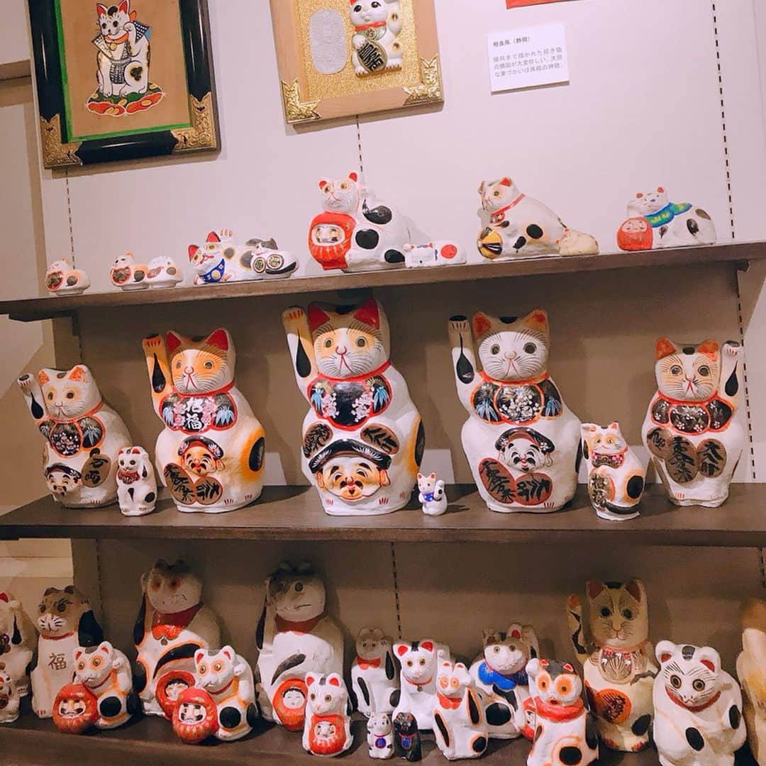 三浦泉さんのインスタグラム写真 - (三浦泉Instagram)「* 愛知県旅レポ✨🐈 〜  国内最大級の 招き猫ミュージアムへ💕🐱 * 招き猫ミュージアムがある瀬戸市は今から100年前 明治30年代後半に全国の陶磁器産地の中で始めて 招き猫の量産を開始した招き猫の故郷なんだそう♥️ だから 大須商店街に巨大な招き猫が置かれてあったのだと納得🥰！！ *  ミュージアムでは 何と5000体もの招き猫を展示されています❣️ そして、日本各地の招き猫は 地域によってお顔が違うのも特徴🐱🎶🎀 個性豊かでどれも可愛いくて愛らしい♥️ *  右が金運  左が人を呼ぶ と言われてます♥️ *  元々の招き猫は左手を上げていたそうですが そのうち右手上げも作られるようになり、当時人々は着物の左のたもとにお金を入れていたので、お金を出し入れをする右手を上げた招き猫をお金招きと呼ぶようになったとか‼️ * 日本一の招き猫専門博物館なので ネコ好きな方も是非足を運ばれてみてくださいね💕  お土産コーナーにもたくさんの猫グッズが 販売されてました💕 🐱招き猫ミュージアム🐱 🌟〒489-0821 愛知県瀬戸市薬師町2番地 TEL：(0561)21-0345 🌟開館時間 10:00～17:00　 入館は16:30まで 🌟休館日は火曜日（祝日の場合は開館） 🌟入場料 大人300円  大学･高校生200円 中学生以下は無料 🍀🐱♥️ * * #招き猫ミュージアム #TAT会  #TAT旅  #TAT旅愛知 #PR #愛知県の旅 #愛知県 #瀬戸市 #瀬戸 #女子旅 #setoshi #seto #travel」11月16日 7時49分 - princessizu1201