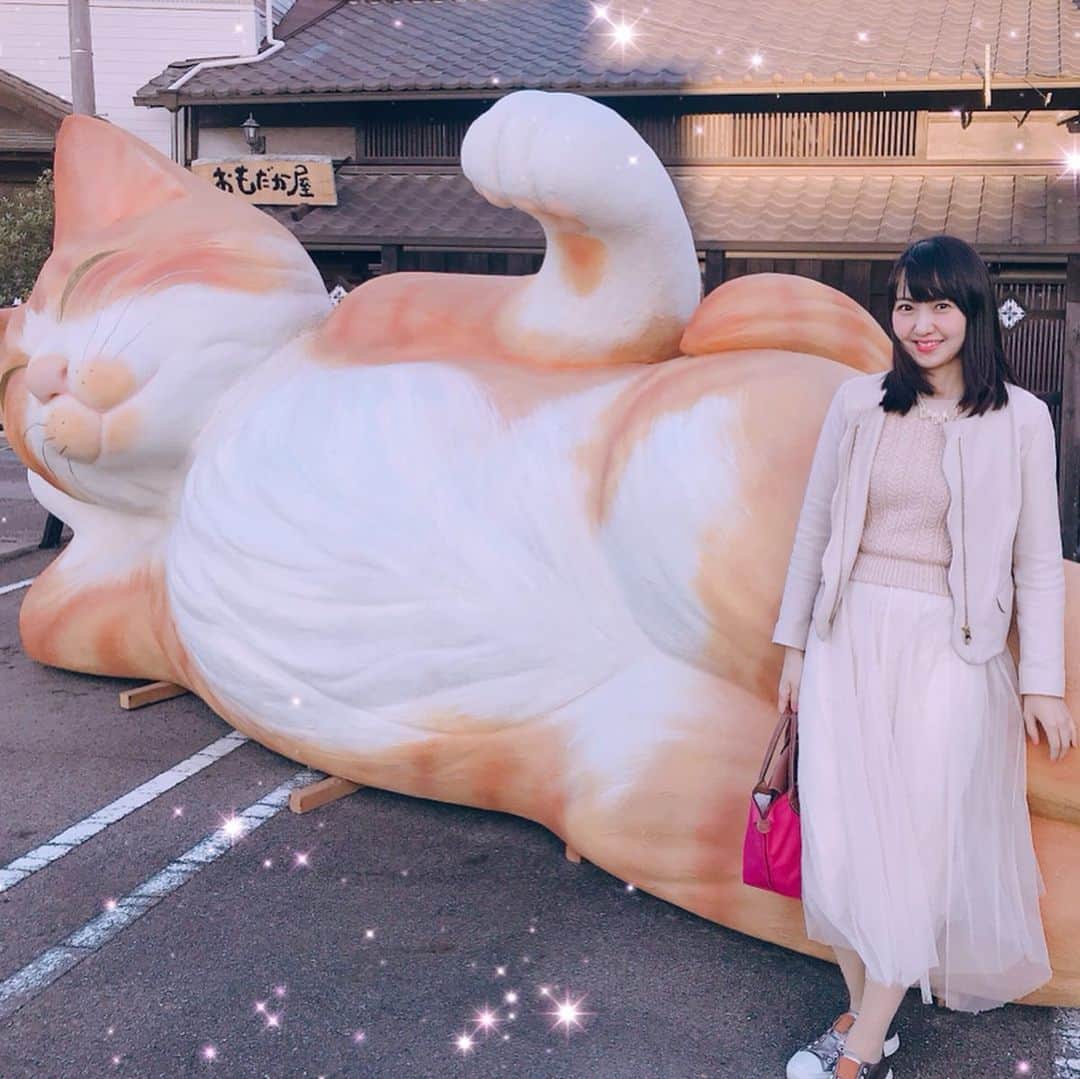 三浦泉さんのインスタグラム写真 - (三浦泉Instagram)「* 愛知県旅レポ✨🐈 〜  国内最大級の 招き猫ミュージアムへ💕🐱 * 招き猫ミュージアムがある瀬戸市は今から100年前 明治30年代後半に全国の陶磁器産地の中で始めて 招き猫の量産を開始した招き猫の故郷なんだそう♥️ だから 大須商店街に巨大な招き猫が置かれてあったのだと納得🥰！！ *  ミュージアムでは 何と5000体もの招き猫を展示されています❣️ そして、日本各地の招き猫は 地域によってお顔が違うのも特徴🐱🎶🎀 個性豊かでどれも可愛いくて愛らしい♥️ *  右が金運  左が人を呼ぶ と言われてます♥️ *  元々の招き猫は左手を上げていたそうですが そのうち右手上げも作られるようになり、当時人々は着物の左のたもとにお金を入れていたので、お金を出し入れをする右手を上げた招き猫をお金招きと呼ぶようになったとか‼️ * 日本一の招き猫専門博物館なので ネコ好きな方も是非足を運ばれてみてくださいね💕  お土産コーナーにもたくさんの猫グッズが 販売されてました💕 🐱招き猫ミュージアム🐱 🌟〒489-0821 愛知県瀬戸市薬師町2番地 TEL：(0561)21-0345 🌟開館時間 10:00～17:00　 入館は16:30まで 🌟休館日は火曜日（祝日の場合は開館） 🌟入場料 大人300円  大学･高校生200円 中学生以下は無料 🍀🐱♥️ * * #招き猫ミュージアム #TAT会  #TAT旅  #TAT旅愛知 #PR #愛知県の旅 #愛知県 #瀬戸市 #瀬戸 #女子旅 #setoshi #seto #travel」11月16日 7時49分 - princessizu1201